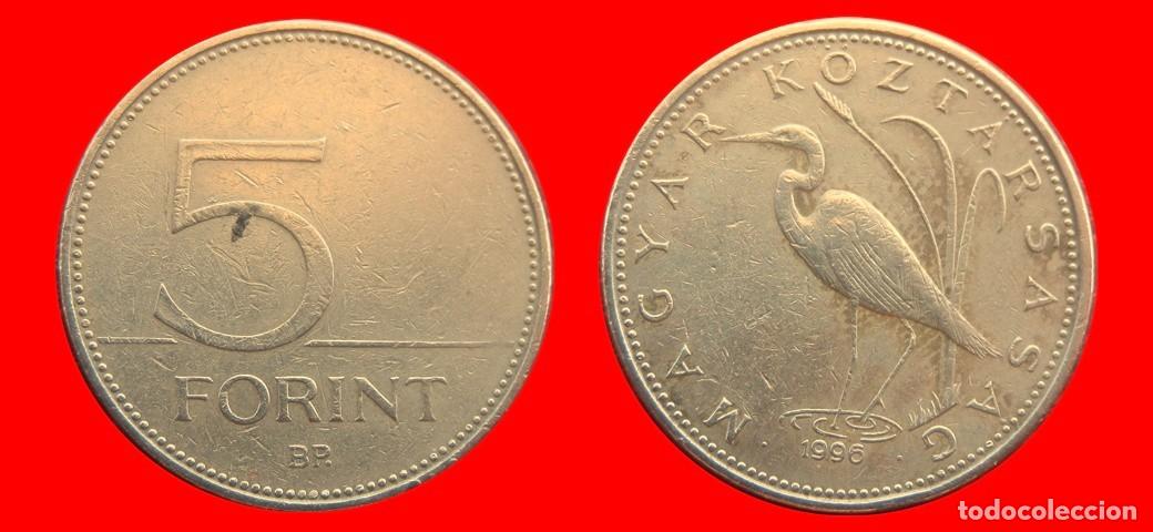 Monedas antiguas de Europa: 5 FLORINES FORINT 1996 HUNGRIA-151829