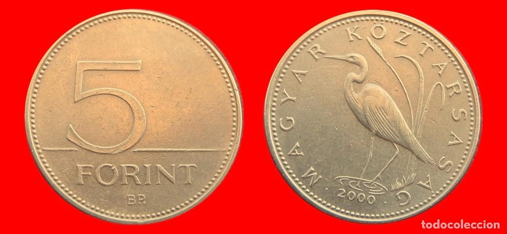 Monedas antiguas de Europa: 5 FLORINES FORINT 2000 HUNGRIA-151831