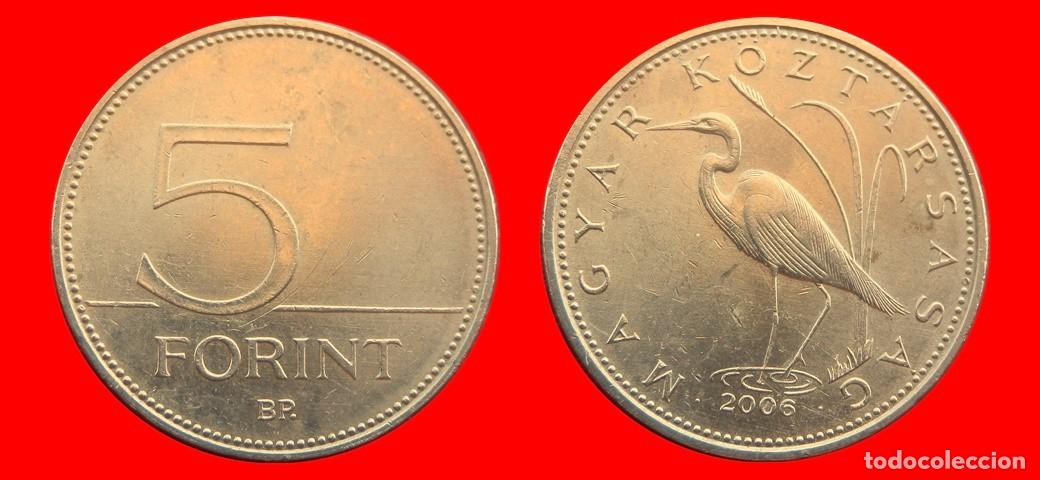 Monedas antiguas de Europa: 5 FLORINES FORINT 2006 HUNGRIA-151833
