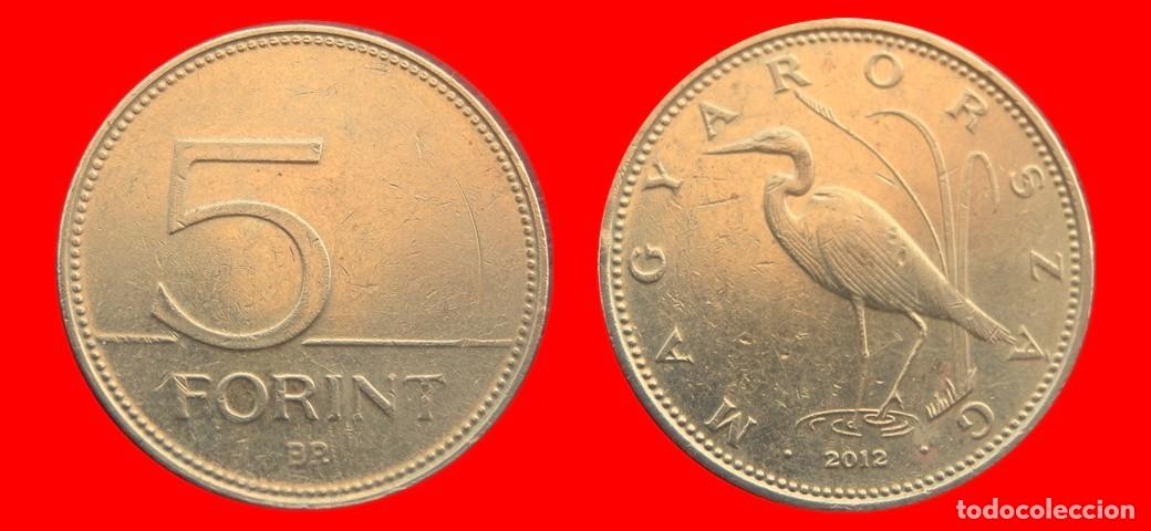 Monedas antiguas de Europa: 5 FLORINES FORINT 2012 HUNGRIA-151834