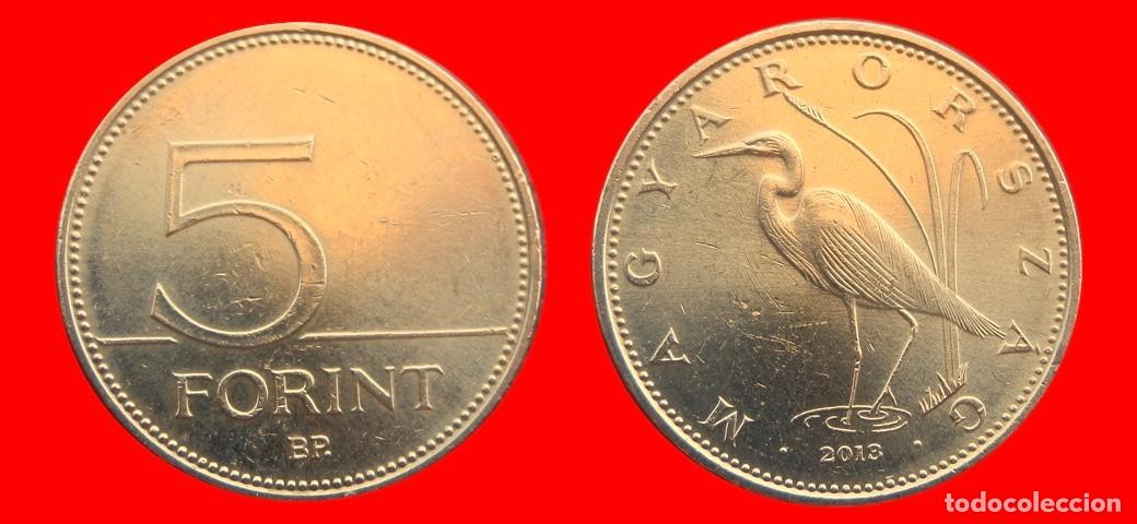 Monedas antiguas de Europa: 5 FLORINES FORINT 2013 HUNGRIA-151835