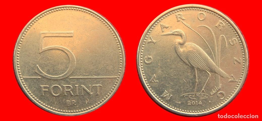 Monedas antiguas de Europa: 5 FLORINES FORINT 2014 HUNGRIA-151836