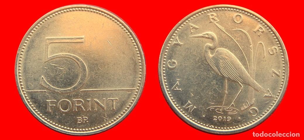 Monedas antiguas de Europa: 5 FLORINES FORINT 2019 HUNGRIA-151838