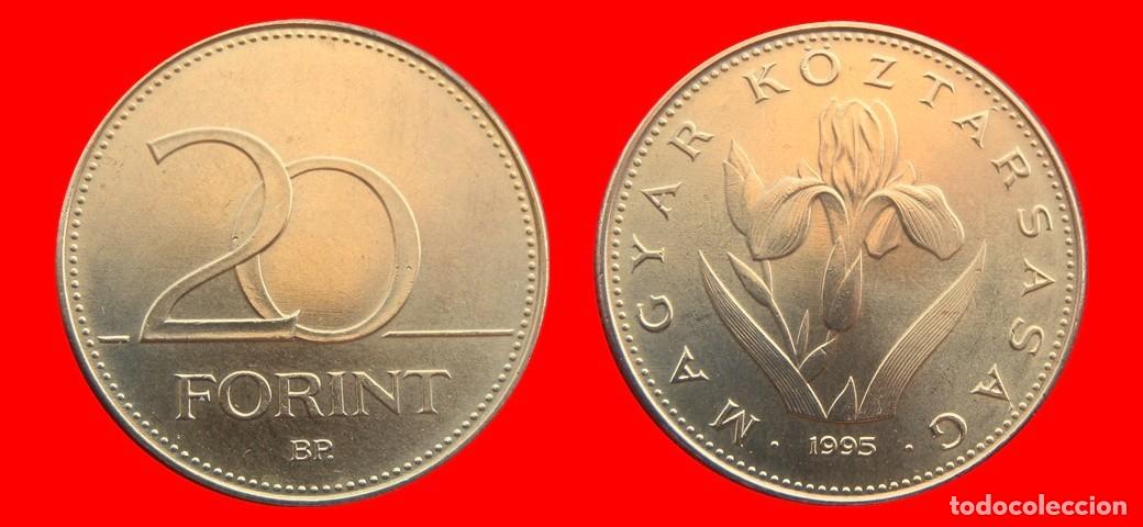 Monedas antiguas de Europa: 20 FLORINES FORINT 1995 HUNGRIA-151847