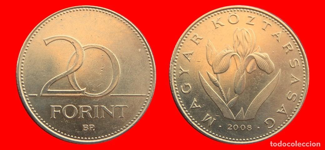 Monedas antiguas de Europa: 20 FLORINES FORINT 2008 HUNGRIA-151849
