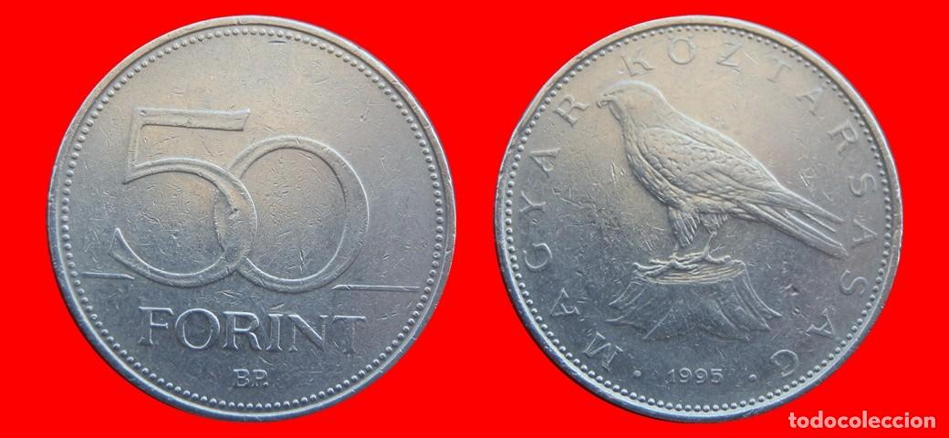 Monedas antiguas de Europa: 50 FLORINES FORINT 1995 HUNGRIA-151850