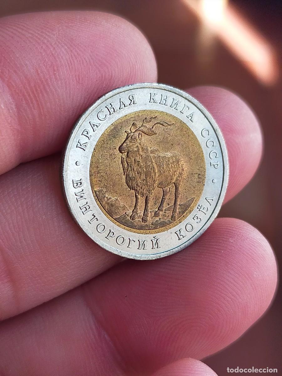 Monedas antiguas de Europa: MONEDA DE 5 CINCO RUBLOS RUSIA 1991 UNION SOVIETICA EXCELENTE CONSERVACION CABRA CORNUDA