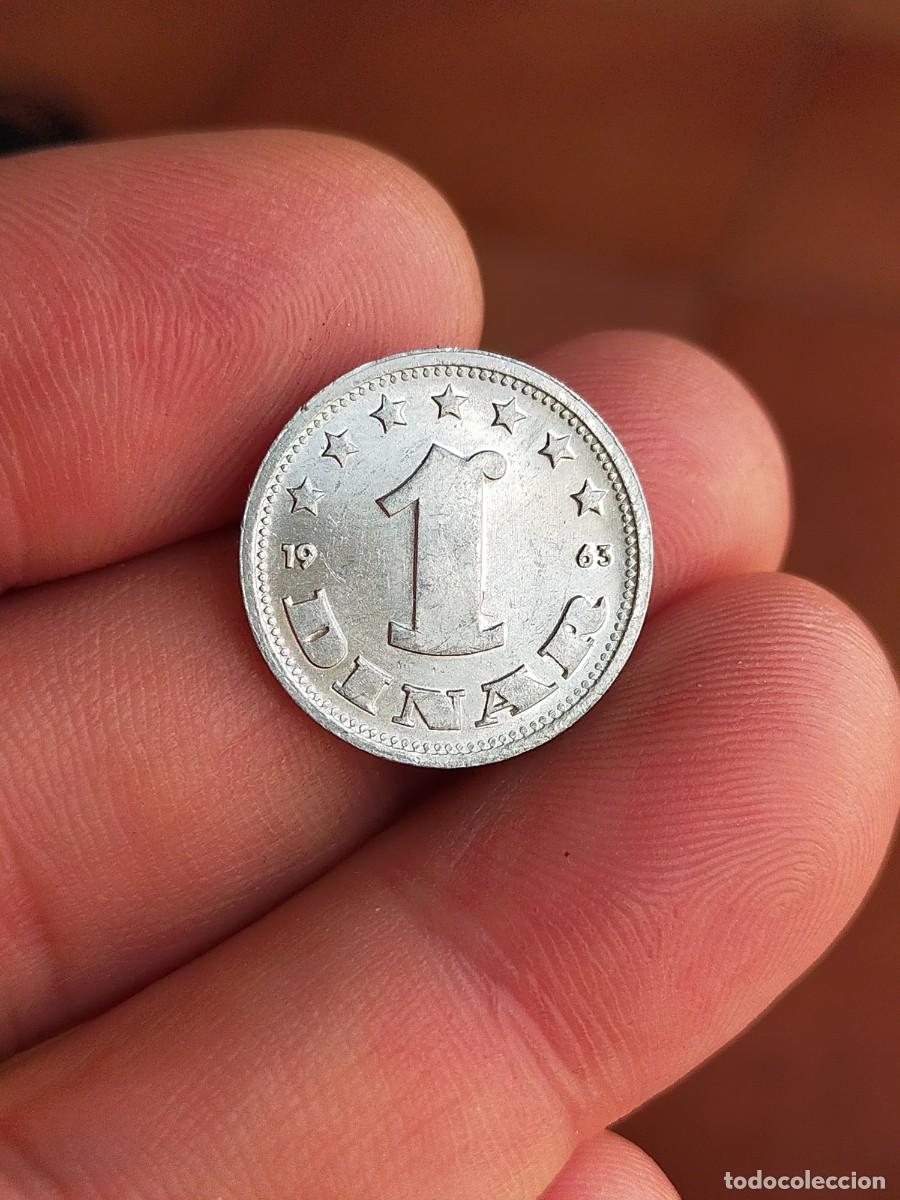 Monedas antiguas de Europa: MONEDA DE 1 UN DINAR DINARA EXTINTA EX YUGOSLAVIA 1963 EXCELENTE CONSERVACION