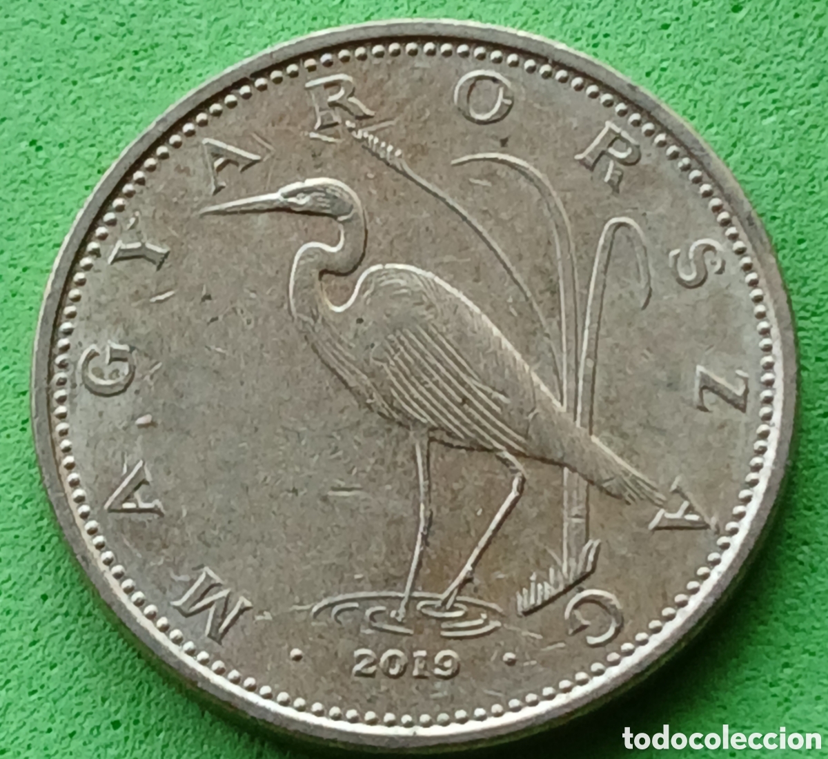 Monedas antiguas de Europa: Hungr&iacute;a 5 forint 2019 km#847