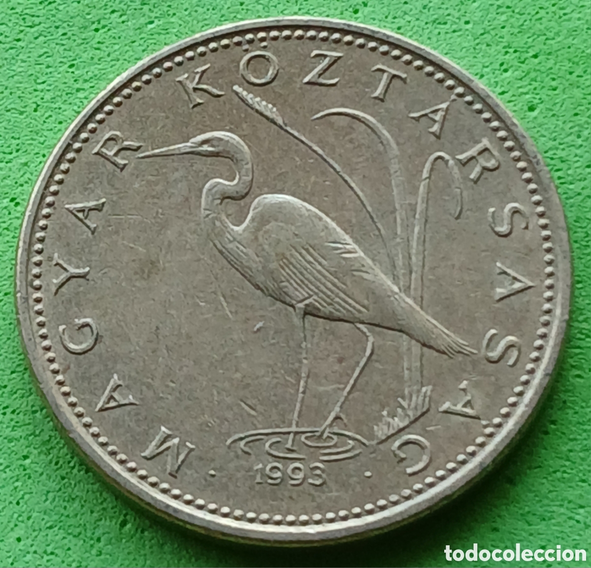 Monedas antiguas de Europa: Hungr&iacute;a 5 forint 1993 km#694