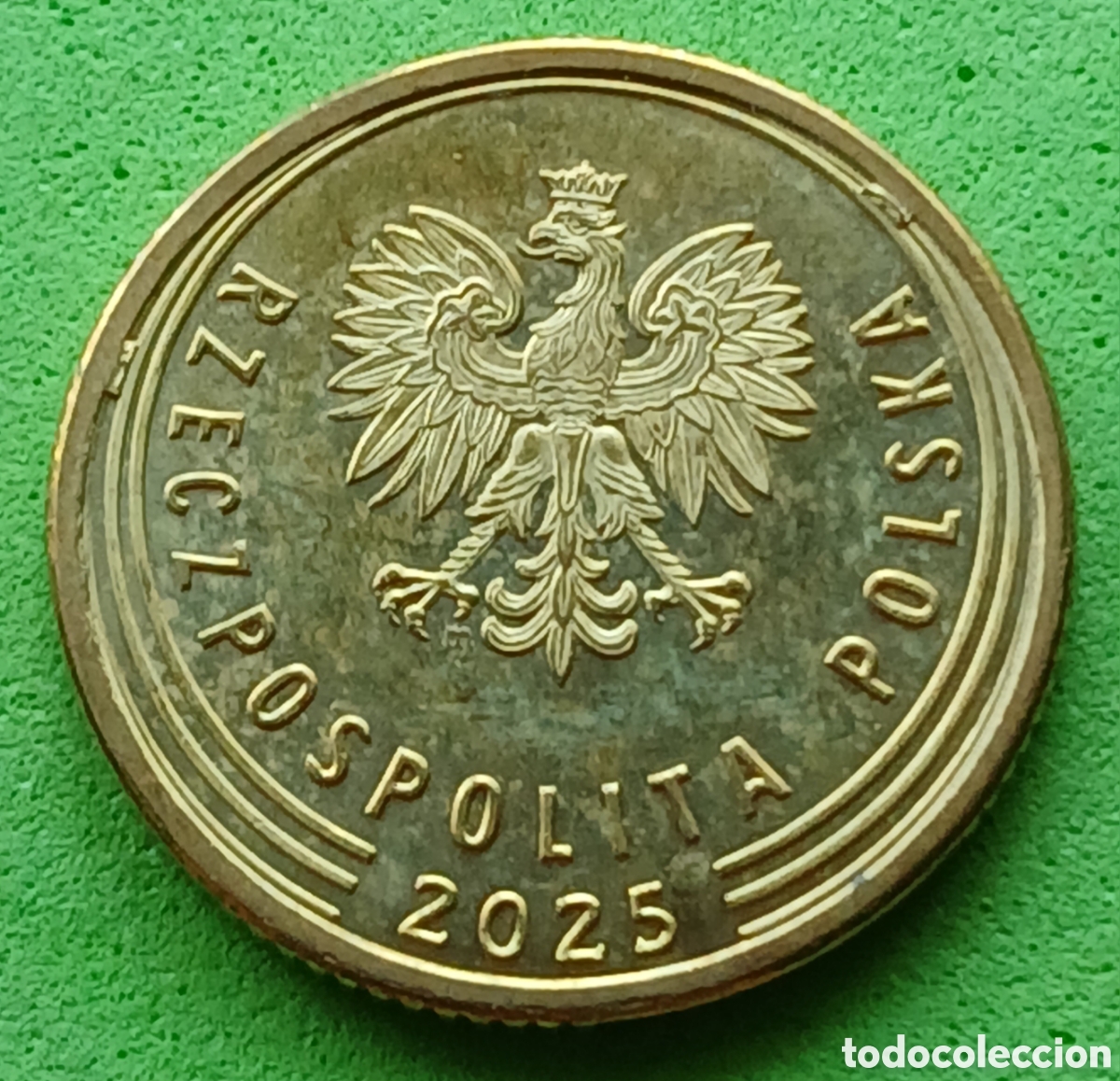 Monedas antiguas de Europa: Polonia 5 groszy 2025 UC#6 poco com&uacute;n