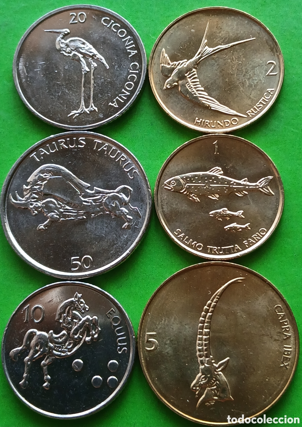 Monedas antiguas de Europa: Eslovenia lote 6 monedas diferentes a&ntilde;os 2000 - 2006.