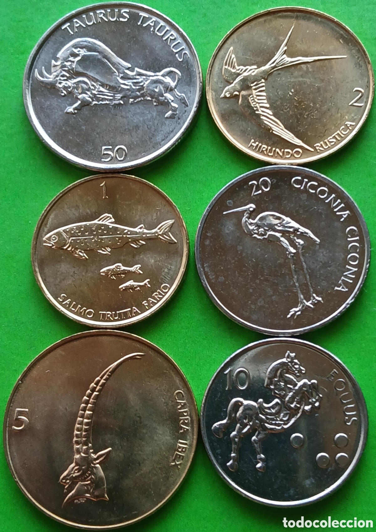 Monedas antiguas de Europa: Eslovenia lote 6 monedas diferentes. A&ntilde;os 2000-2006.