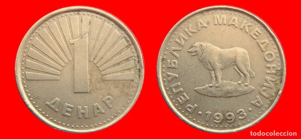 Monedas antiguas de Europa: 1 DINAR 1993 MACEDONIA-151970