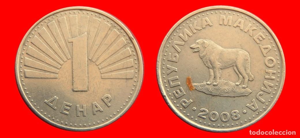 Monedas antiguas de Europa: 1 DINAR 2008 MACEDONIA-151973