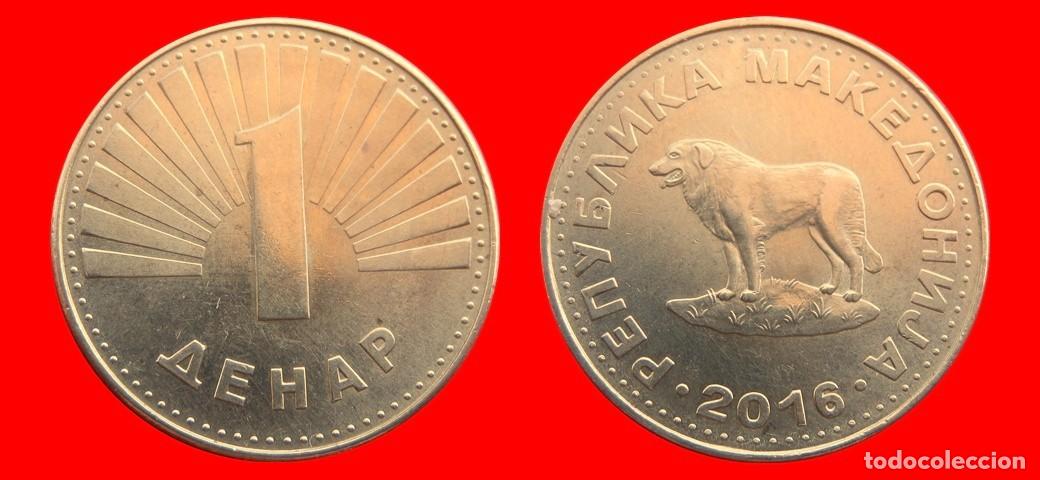 Monedas antiguas de Europa: 1 DINAR 2016 MACEDONIA-151974