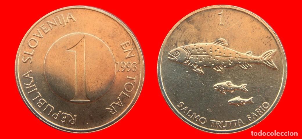 Monedas antiguas de Europa: 1 TOLAR 1993 ESLOVENIA SLOVENIA-152138
