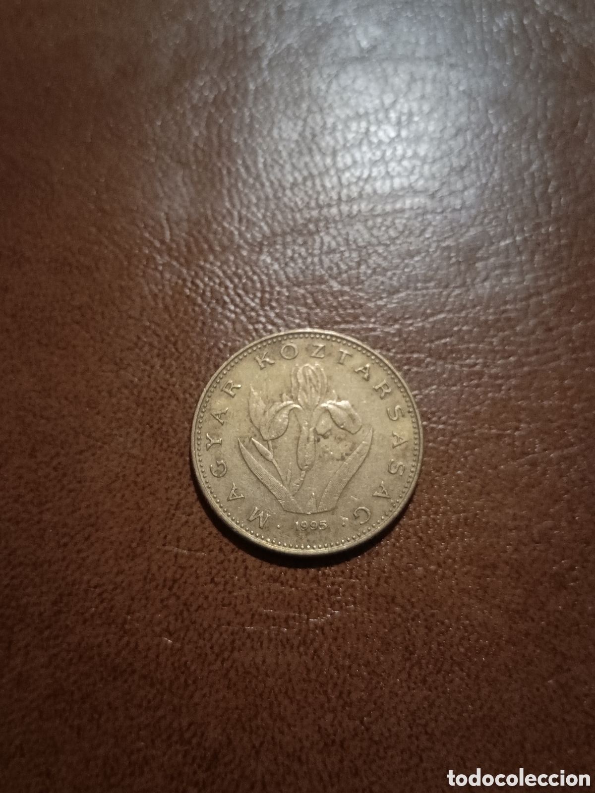 Monedas antiguas de Europa: 20 FORINT 1995 - HUNGR&Iacute;A