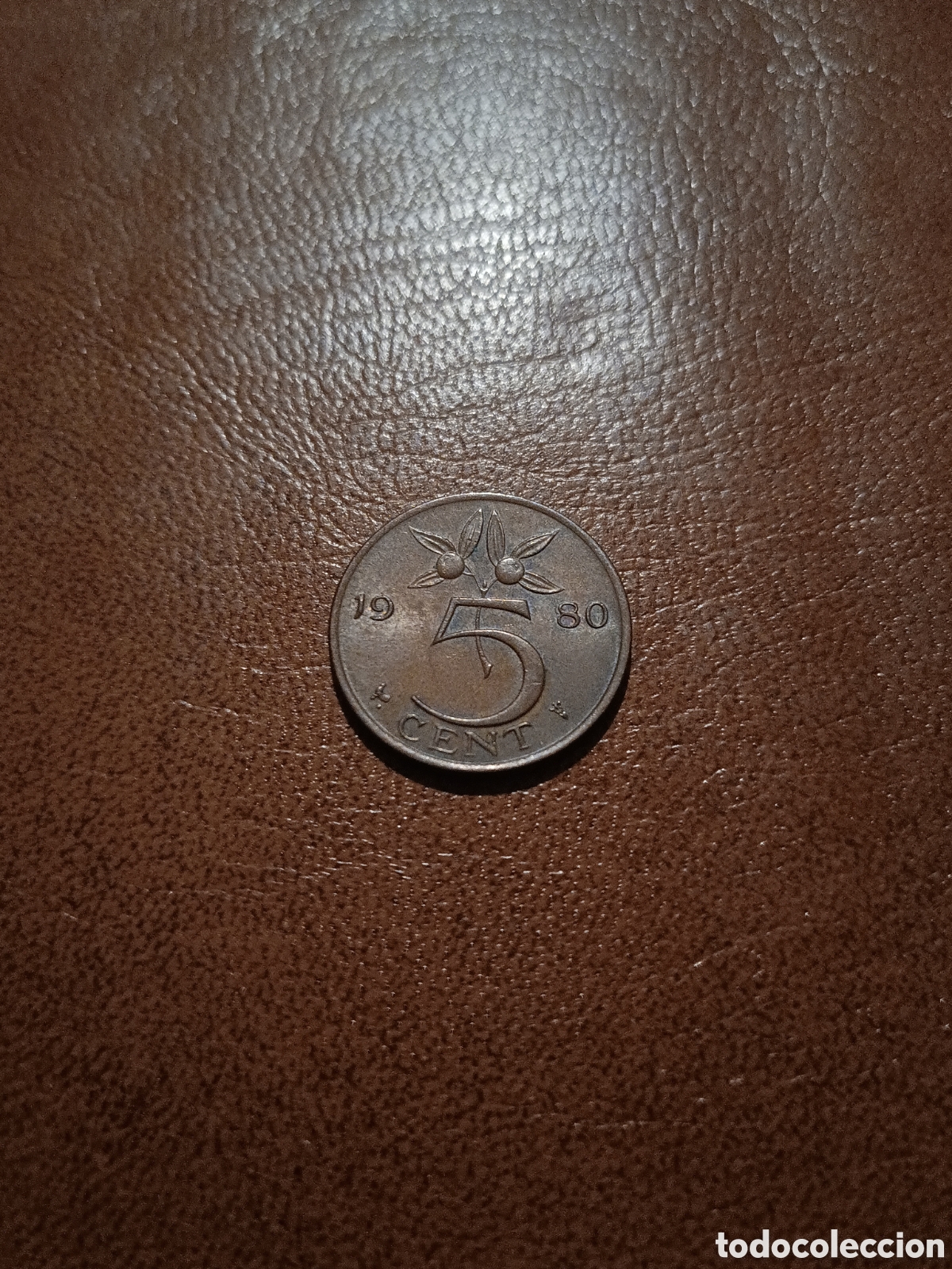 Monedas antiguas de Europa: 5 CENTIMOS 1980 - HOLANDA
