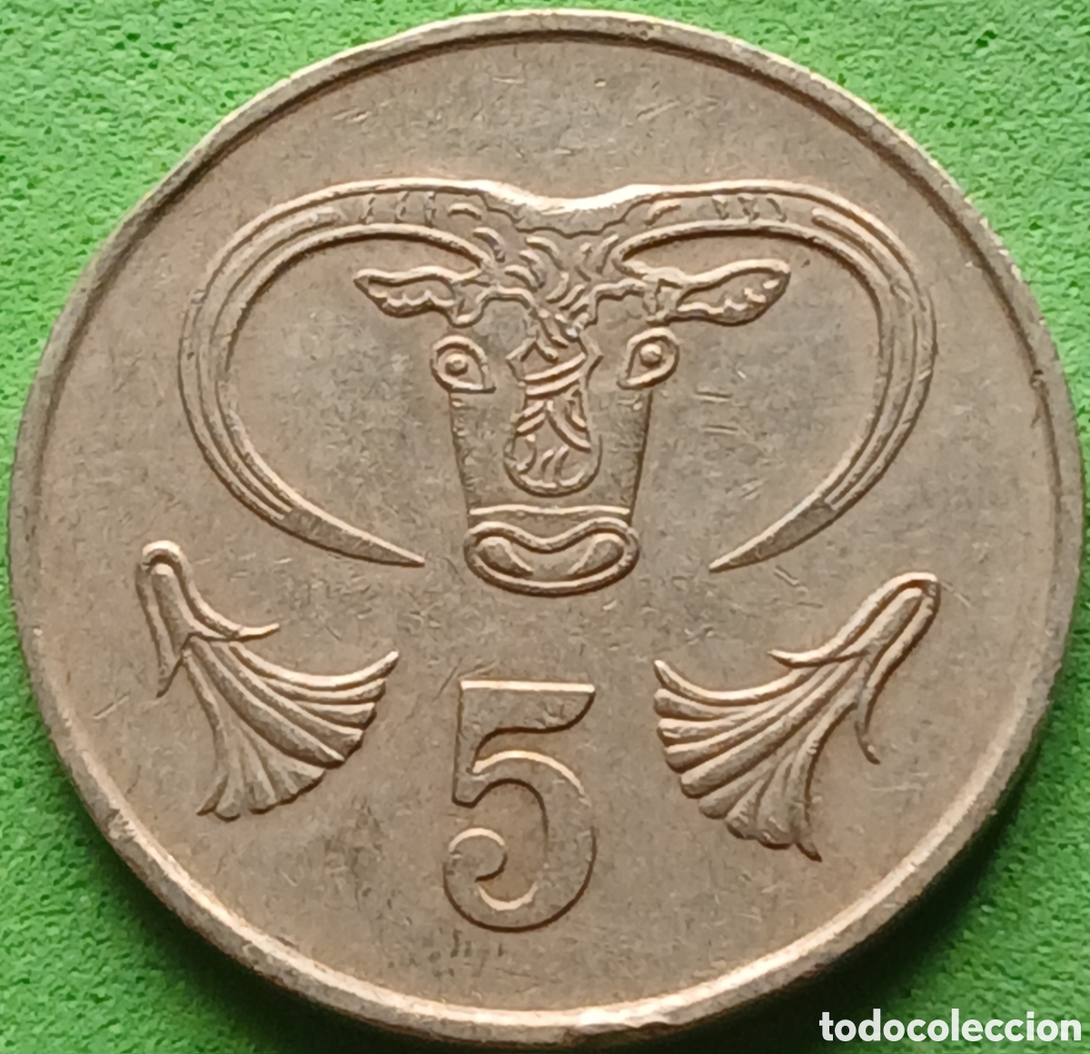 Monedas antiguas de Europa: Chipre 5 cents 1983 km#55.1