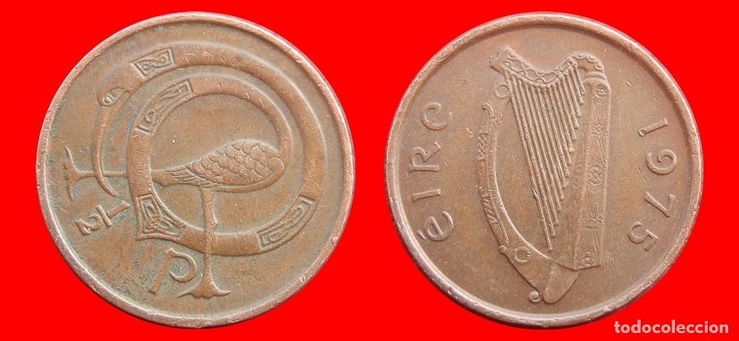 Monedas antiguas de Europa: 1/2 PENIQUE PENNY 1975 IRLANDA-152444