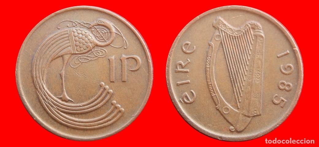 Monedas antiguas de Europa: 1 PENIQUE PENNY 1985 IRLANDA-152451