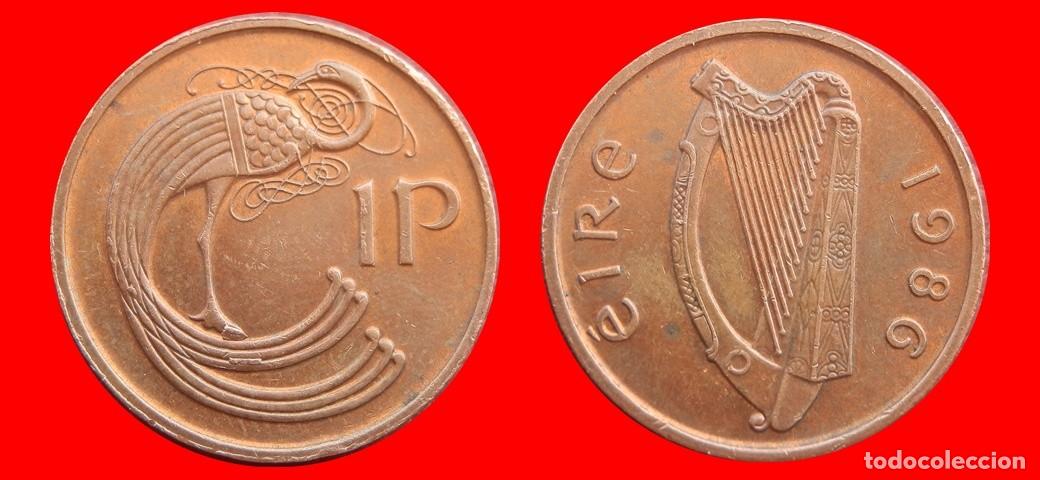 Monedas antiguas de Europa: 1 PENIQUE PENNY 1986 IRLANDA-152452