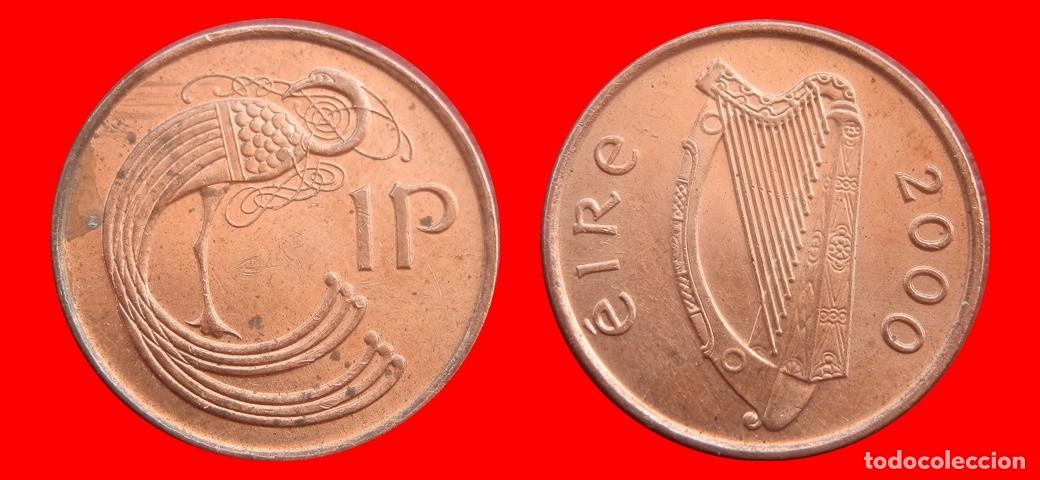 Monedas antiguas de Europa: 1 PENIQUE PENNY 2000 IRLANDA-152453