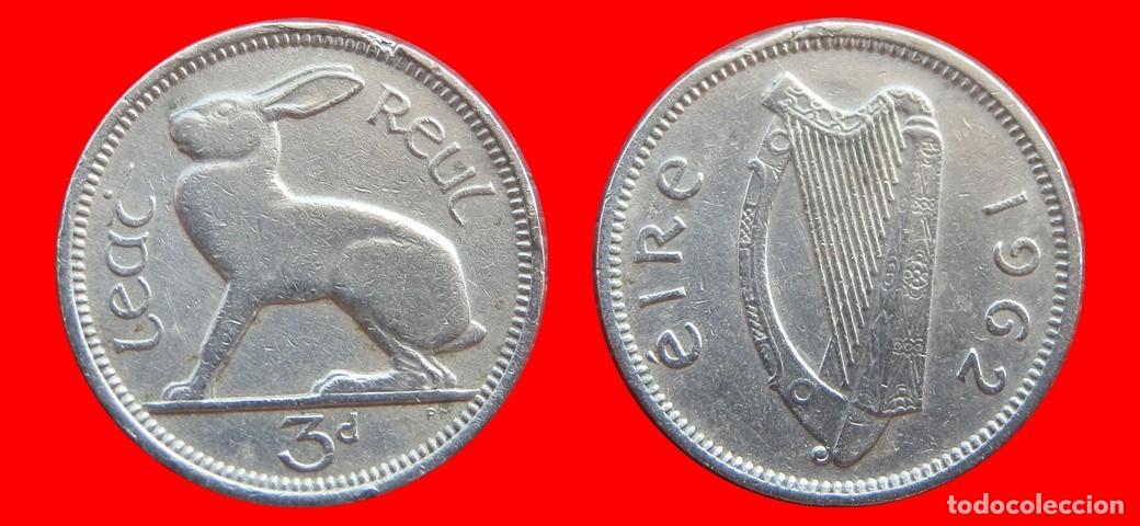 Monedas antiguas de Europa: 3 PENIQUES PENCE 1962 IRLANDA-152462