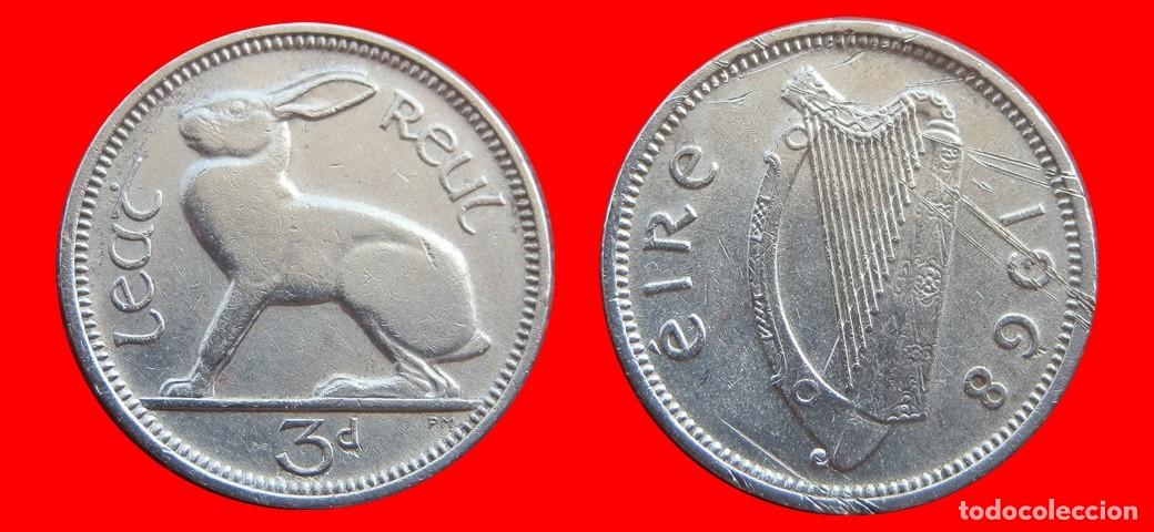 Monedas antiguas de Europa: 3 PENIQUES PENCE 1968 IRLANDA-152464