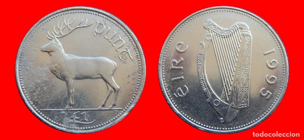 Monedas antiguas de Europa: 1 LIBRA POUND 1995 IRLANDA-152483
