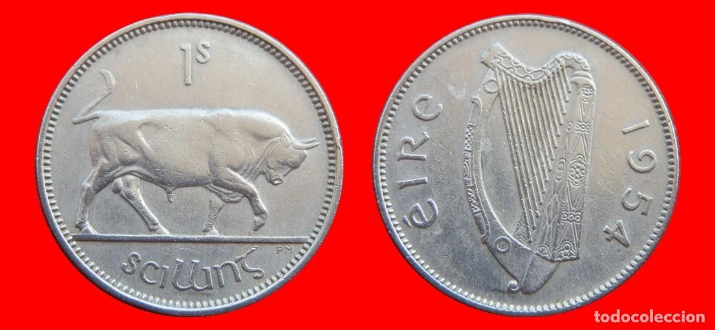 Monedas antiguas de Europa: 1 CHELIN 1954 IRLANDA-152484
