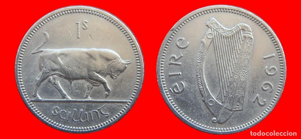Monedas antiguas de Europa: 1 CHELIN 1962 IRLANDA-152485