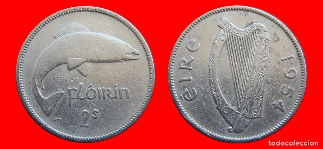 Monedas antiguas de Europa: 1 FLORIN 1954 IRLANDA-152486