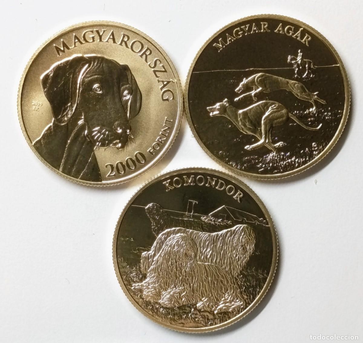 Monedas antiguas de Europa: HUNGR&Iacute;A (1). 3 MONEDAS DE 2000 FORINT, A&Ntilde;OS 2019, 2020 Y 2021. RAZAS DE PERROS
