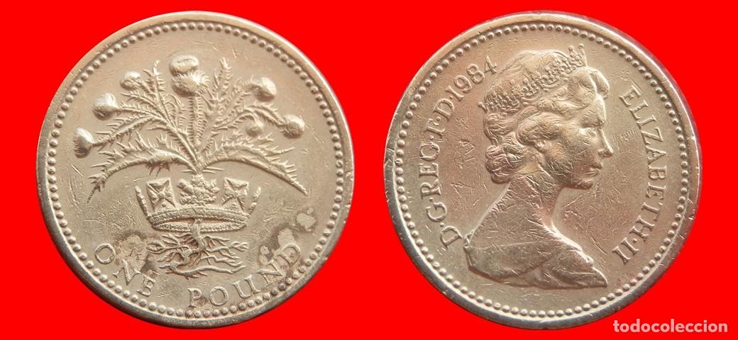 Monedas antiguas de Europa: 1 LIBRA POUND 1984 INGLATERRA REINO UNIDO-152650
