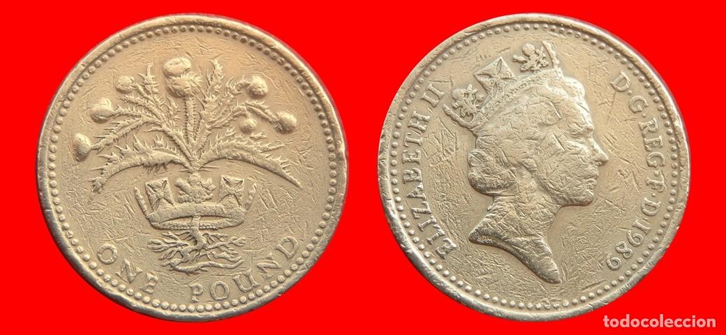 Monedas antiguas de Europa: 1 LIBRA POUND 1989 INGLATERRA REINO UNIDO-152653