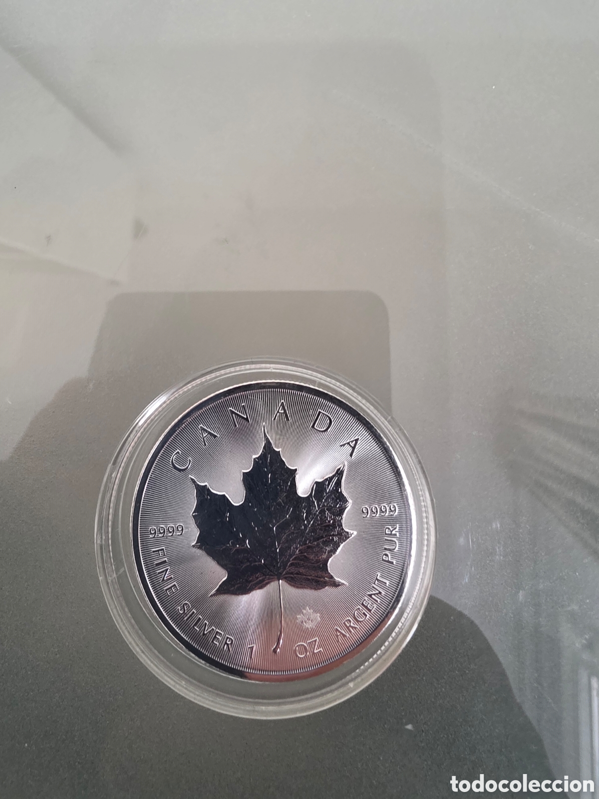 Monedas antiguas de Europa: 1 Onza Plata /Maple Leaf