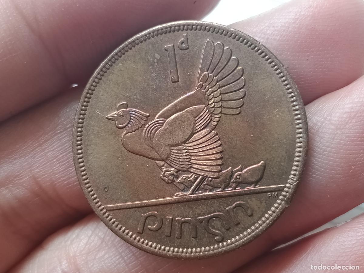 Monedas antiguas de Europa: 1 PENIQUE PENNY 1967 IRLANDA BRILLO ORIGINAL