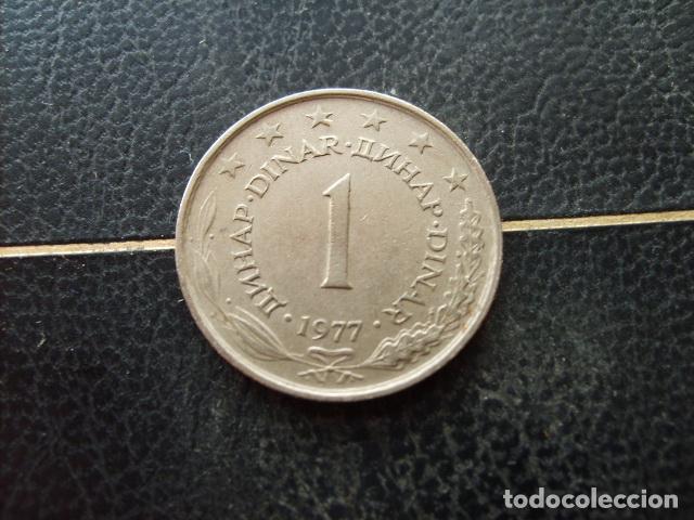 Monedas antiguas de Europa: YUGOSLAVIA 1 DINAR 1977