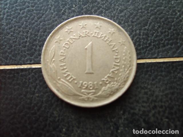 Monedas antiguas de Europa: YUGOSLAVIA 1 DINAR 1981