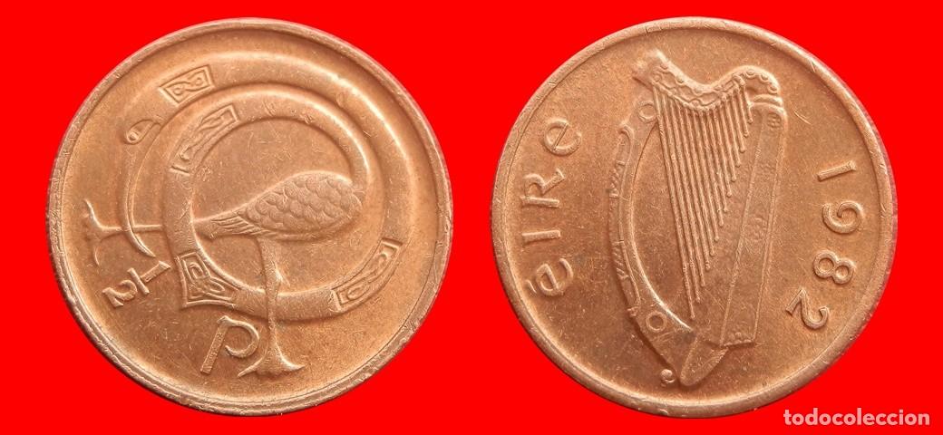 Monedas antiguas de Europa: 1/2 PENIQUE PENNY 1982 IRLANDA-152999