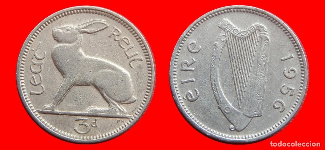Monedas antiguas de Europa: 3 PENIQUES PENCE 1956 IRLANDA-153001