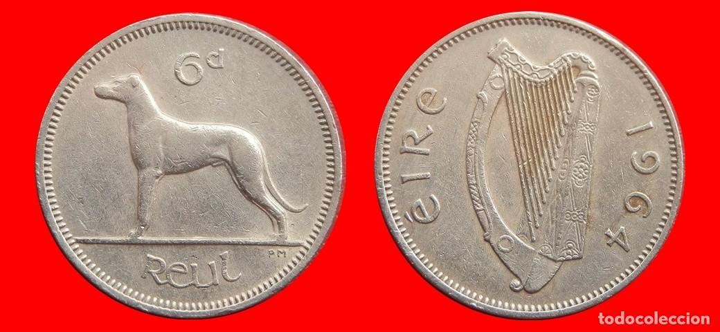 Monedas antiguas de Europa: 6 PENIQUES PENCE 1964 IRLANDA-153005