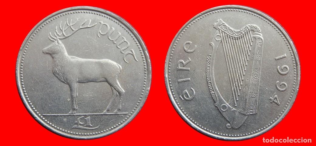 Monedas antiguas de Europa: 1 LIBRA POUND 1994 IRLANDA-153008