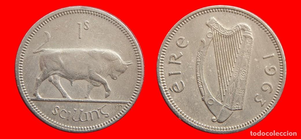 Monedas antiguas de Europa: 1 CHELIN 1963 IRLANDA-153009