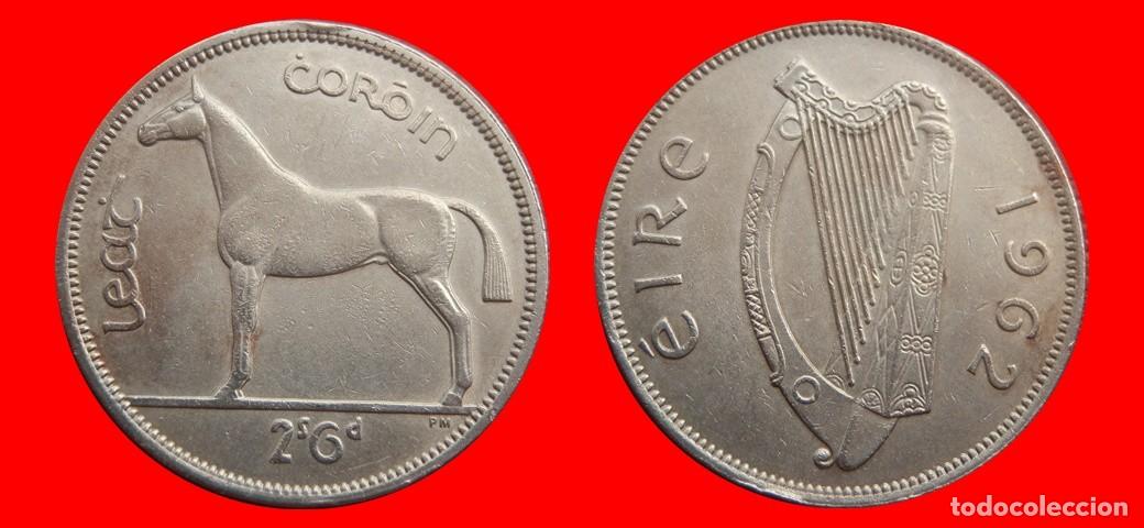 Monedas antiguas de Europa: 1/2 CORONA 1962 IRLANDA-153011