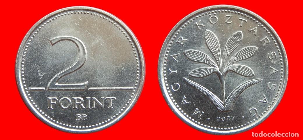 Monedas antiguas de Europa: 2 FLORINES FORINT 2007 HUNGRIA-153013