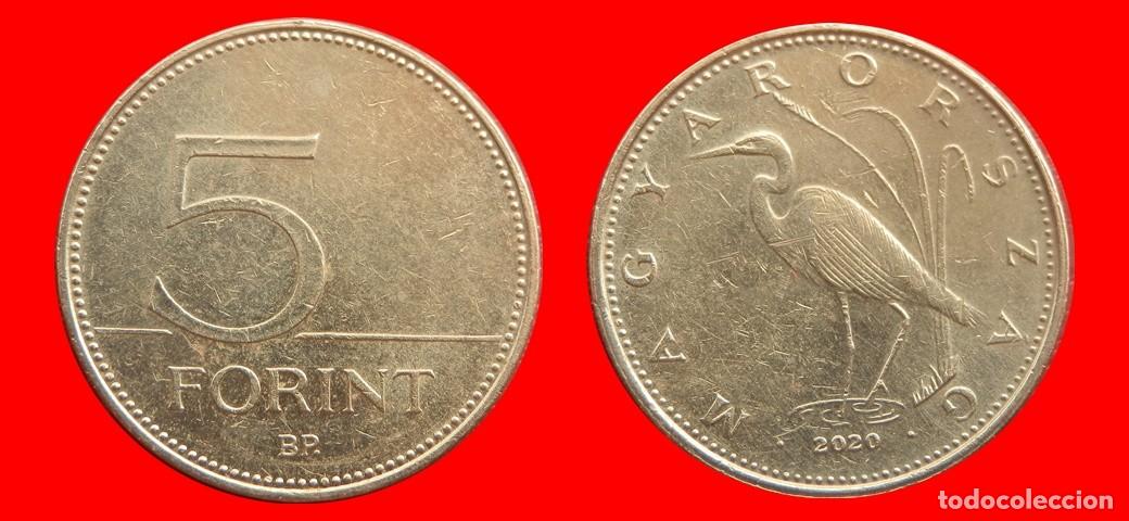 Monedas antiguas de Europa: 5 FLORINES FORINT 2020 HUNGRIA-153014