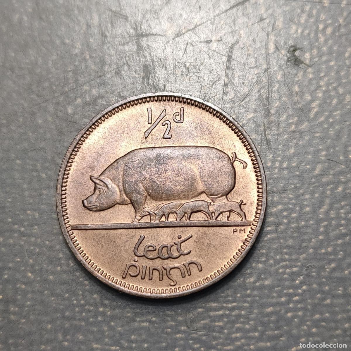 Monedas antiguas de Europa: IRLANDA IRELAND 1/2 PENNY 1966 KM 10 SC UNC BRILLO ORIGINAL
